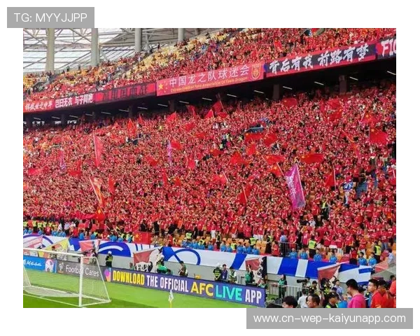 中国足球的球迷文化活动组织，中国足球的球迷文化活动组织有哪些